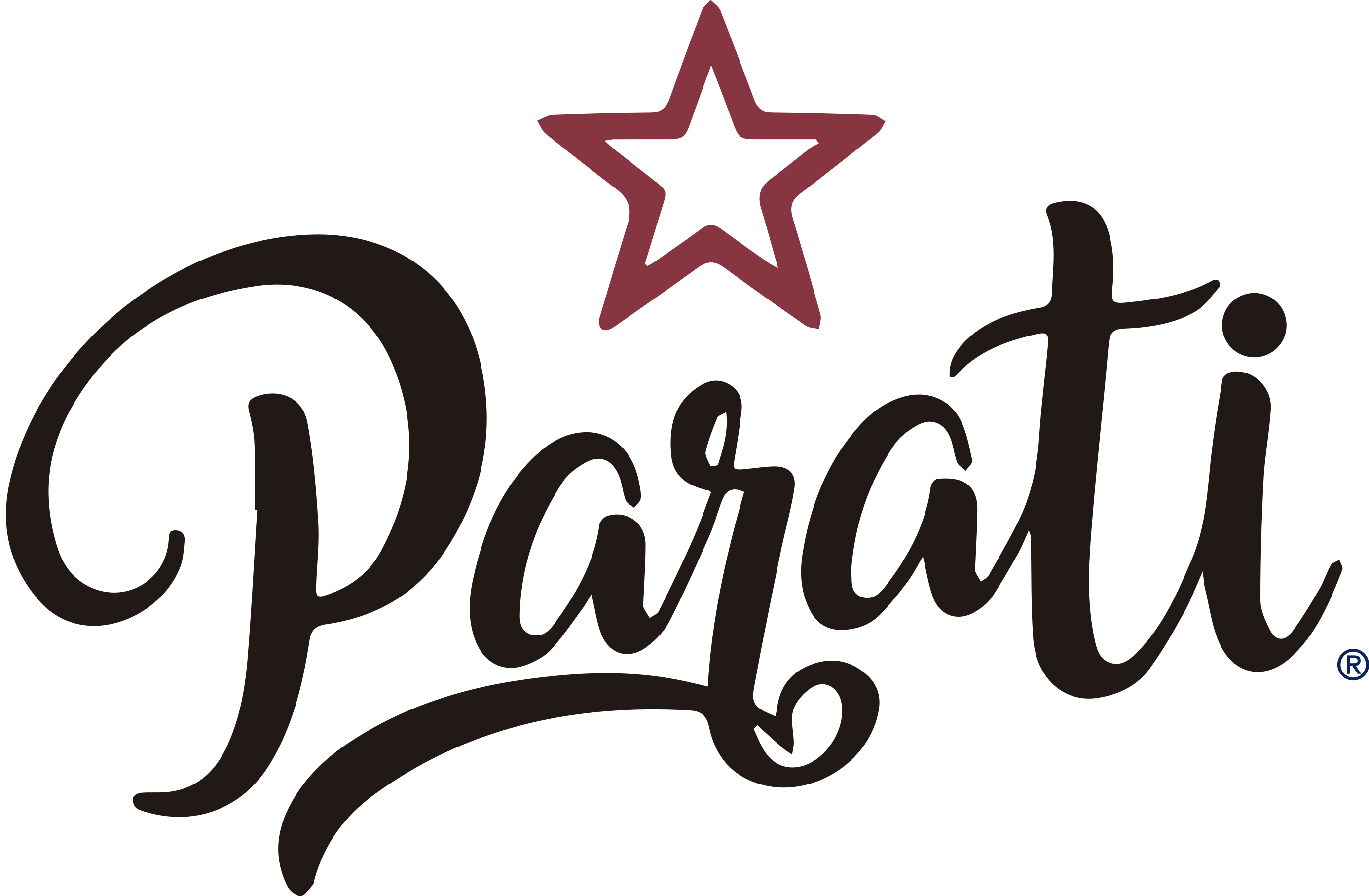 Partner 2