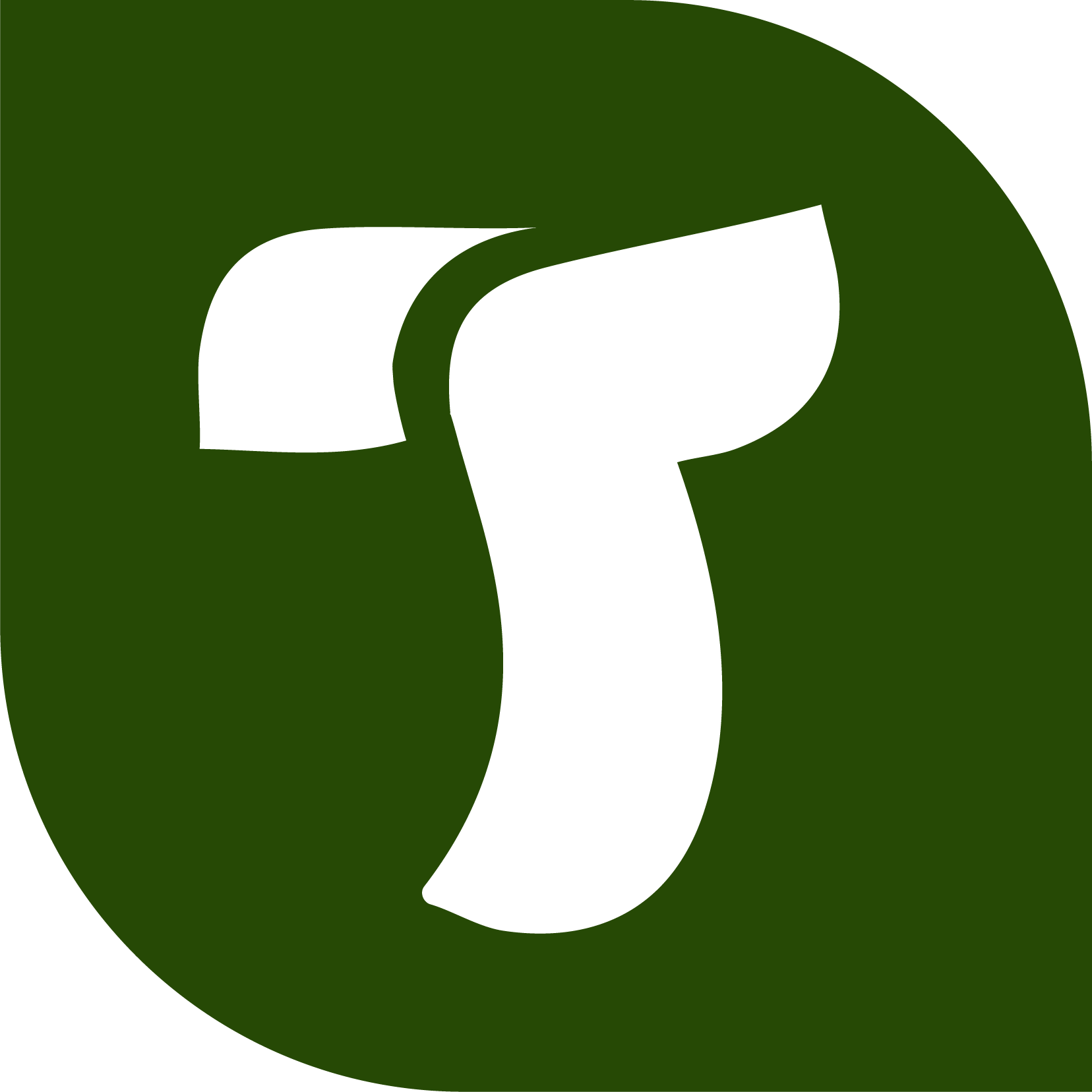 Partner 5